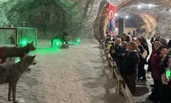 TURİSTİK TUZ EKSPRESİ 2026'NIN İLK SEFERİNİ YAPTI