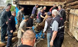 TAŞKÖPRÜ'DE AHIR GÖÇTÜ: BİR KİŞİ HAYATINI KAYBETTİ