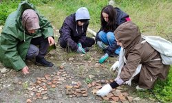 KASTAMONU'DA 2 BİN 300 YILLIK ARKEOLOJİK VERİLER BULUNDU