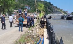 KASTAMONU'DA KURBANLIK DANA İLÇEYİ BİRBİRİNE KATTI