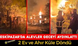 ESKİPAZAR'DA KORKUTAN YANGIN
