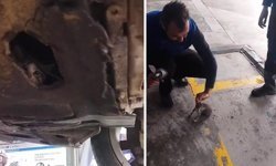 OTOMOBİLİN MOTORUNA GİREN KEDİ KURTARILDI