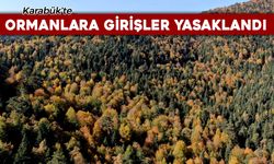 KARABÜK'TE ORMANLARA GİRİŞLER YASAKLANDI