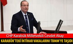 CHP’Lİ AKAY’DAN KARABÜK'TEKİ İNTİHAR VAKALARINI TBMM'YE TAŞIDI