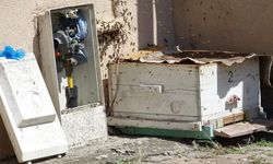 KARABÜK'TE ARILAR APARTMANI SARDILAR