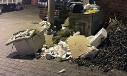 ZONGULDAK'TA TOPLANMAYAN ÇÖPLER TEPKİLERE NEDEN OLDU