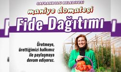 SAFRANBOLU BELEDİYESİ'NDEN ÜCRETSİZ MANİYE DOMATESİ FİDESİ DAĞITIMI