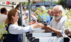 SAFRANBOLU'DA 100 BİN MANİYE DOMATESİ FİDESİ DAĞITILDI