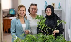 ORGANİK ATA TOHUMU FİDELERİ SAKEM KURSİYERLERİNE DAĞITILDI