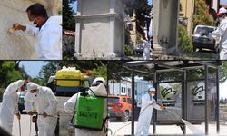 FESTİVAL ÖNCESİ SAFRANBOLU'DA BÜYÜK TEMİZLİK SEFERBERLİĞİ