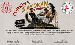 KARABÜK'TE SAYOKAN TÜRKİYE ŞAMPİYONASI HEYECANI