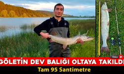 EFLANİ'DE GÖLETİN DEV BALIĞI OLTAYA TAKILDI "TAM 95 SANTİMETRE"