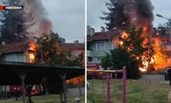 ARDİYEDE ÇIKAN YANGIN EVLERE SIÇRAMADAN SÖNDÜRÜLDÜ