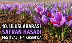 10. ULUSLARARASI SAFRAN HASADI FESTİVALİ 1-4 KASIM’DA