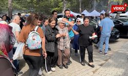 ŞENLİKTE BAŞINA DAL DÜŞEN KADIN YARALANDI