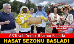 AB TESCİLLİ YENİCE IHLAMUR BALINDA HASAT SEZONU BAŞLADI