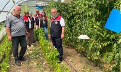 İL TARIM MÜDÜRÜ YASİN ÖNDER, YENİCE'DE ÜRETİCİLERLE BULUŞTU