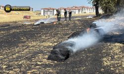 KARABÜK'TE ANIZ YANGINI KORKUTTU
