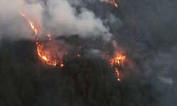 KASTAMONU'DA ORMAN YANGINI KONTROL ALTINA ALINDI