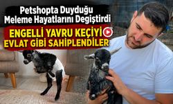 ENGELLİ YAVRU KEÇİYİ EVLAT GİBİ SAHİPLENDİLER