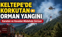 KELTEPE'DE KORKUTAN ORMAN YANGINI