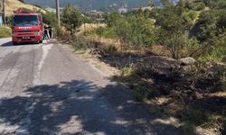 ÖRTÜ YANGINI BÜYÜMEDEN KONTROL ALTINA ALINDI