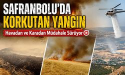 SAFRANBOLU'DA KORKUTAN YANGIN! HAVADAN VE KARADAN MÜDAHALE SÜRÜYOR