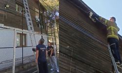 SAFRANBOLU'DA HALI SAHANIN DEMİRLERİNDE MAHSUR KALAN KEDİYİ İTFAİYE KURTARDI