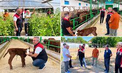 YASİN ÖNDER ESKİPAZAR'DA ÜRETİCİLERLE BULUŞTU