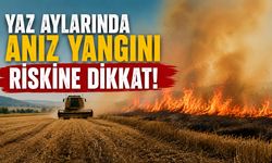 YAZ AYLARINDA ANIZ YANGINI RİSKİNE DİKKAT!