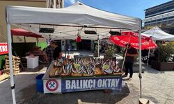 BALIKÇILARDAN MÜJDE "BU SENE DENİZDEN BALIK FIŞKIRACAK"