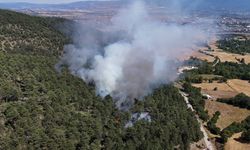 BOLU’DA ORMAN YANGINI KONTROL ALTINA ALINDI