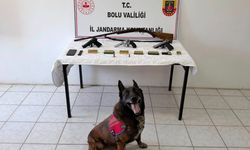 BOLU'DA EVİNDE SİLAH VE MÜHİMMAT BULUNAN ŞÜPHELİ TUTUKLANDI