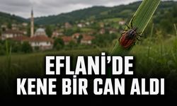 EFLANİ’DE KENE ISIRMASI SONUCU BİR KİŞİ HAYATINI KAYBETTİ