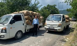 FINDIK TÜCCARINDAN ÜRETİCİYE KRİTİK UYARI