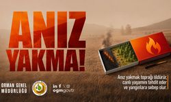 KARABÜK VALİLİĞİNDEN ANIZ YAKANLARA HAPİS UYARISI