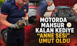 MOTORDA MAHSUR KALAN KEDİYE “ANNE SESİ” UMUT OLDU