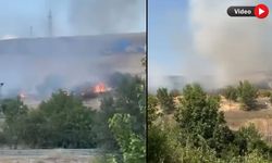 NAVSAKLAR KÖYÜ'NDE OTLUK ALANDA YANGIN ÇIKTI