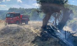 KASTAMONU'DA ÖRTÜ YANGINI SÖNDÜRÜLDÜ