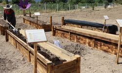 DÜNYANIN EN PAHALI BAHARATINA ÇELİK KALKAN