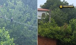 SAFRANBOLU’DA İLGİNÇ ANLAR: KARGADAN “ALLAH” SESİ