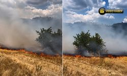 SAFRANBOLU'DA OT YANGINI PANİĞİ: EKİPLER SEFERBER OLDU