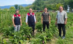 SAFRANBOLU'DA ATA TOHUMLARINA DESTEK