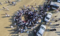 YARIŞTA ÇARPIŞAN İKİ AT TELEF OLDU