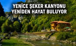 YENİCE ŞEKER KANYONU YENİDEN HAYAT BULUYOR