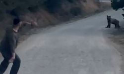 BOLU'DA AYIYI TAŞLA KOVALADILAR