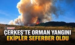 ÇERKEŞ’TE ORMAN YANGINI EKİPLER SEFERBER OLDU