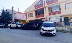 CİPİN LASTİKLERİNE ZARAR VERİP KAYIPLARA KARIŞTILAR