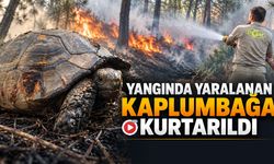 KARABÜK’TE ÖRTÜ YANGINI BÜYÜMEDEN SÖNDÜRÜLDÜ