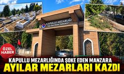 KAPULLU MEZARLIĞINDA AYILAR MEZARLARI KAZDI